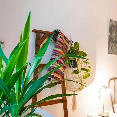 African Style Studio In The Heart Of The Bukarest